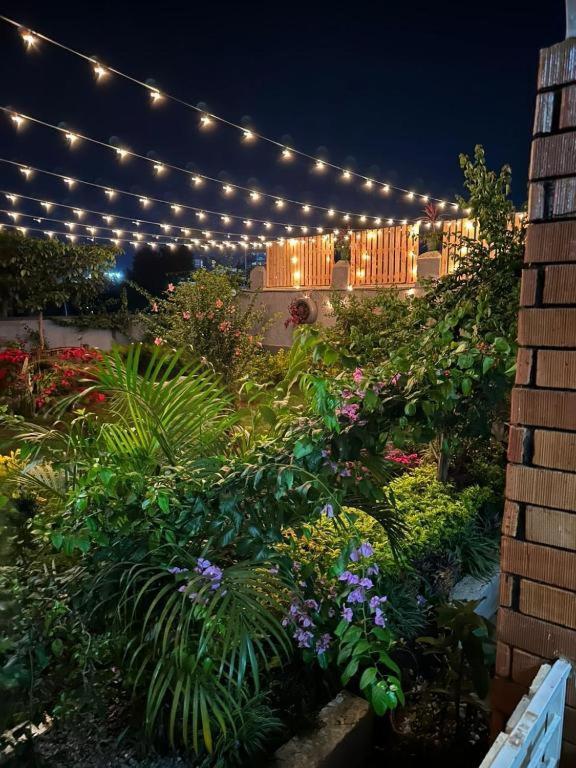 City Oasis By Siima _ Hidden Gem City Family Home Kampala Eksteriør billede